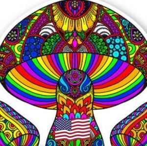 Meet your Posher, Ed